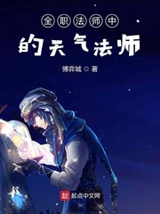 全职法师之操纵天气全职法师之欲魔降临冷言宇风